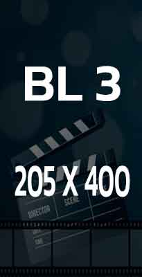 BL3