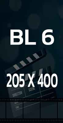 BL6