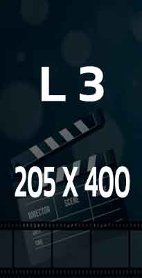 L3